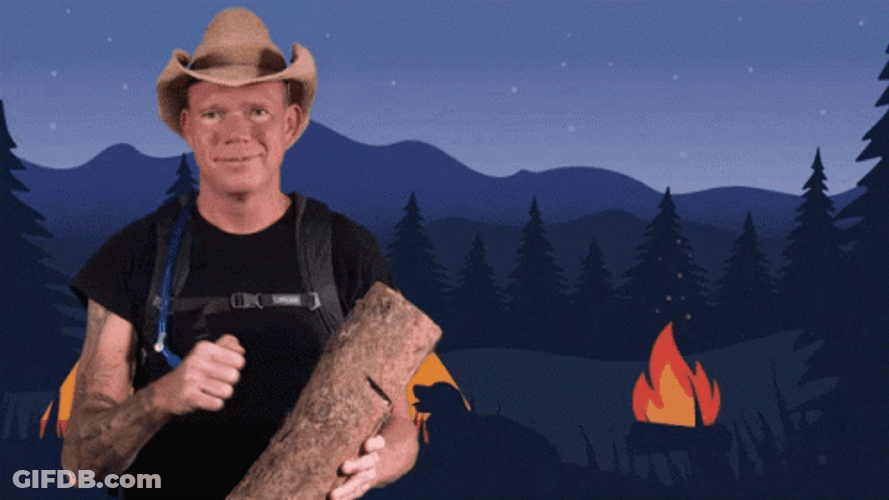 Knock On Wood Log Bonfire GIF