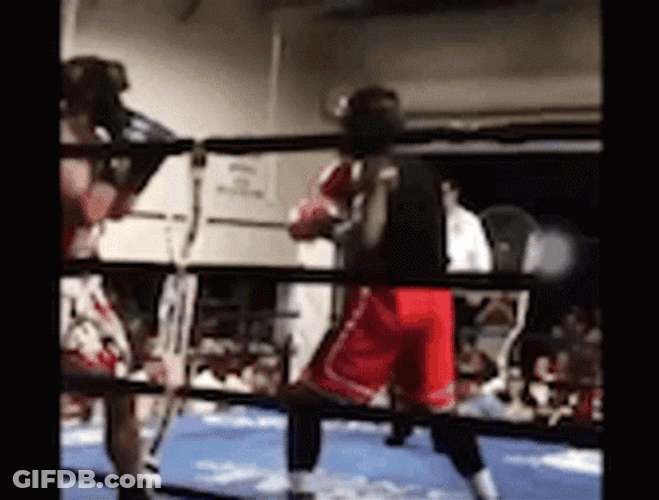 Knock On Wood GIF