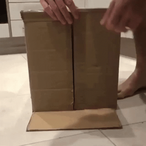Knock On Wood Orange Cat GIF
