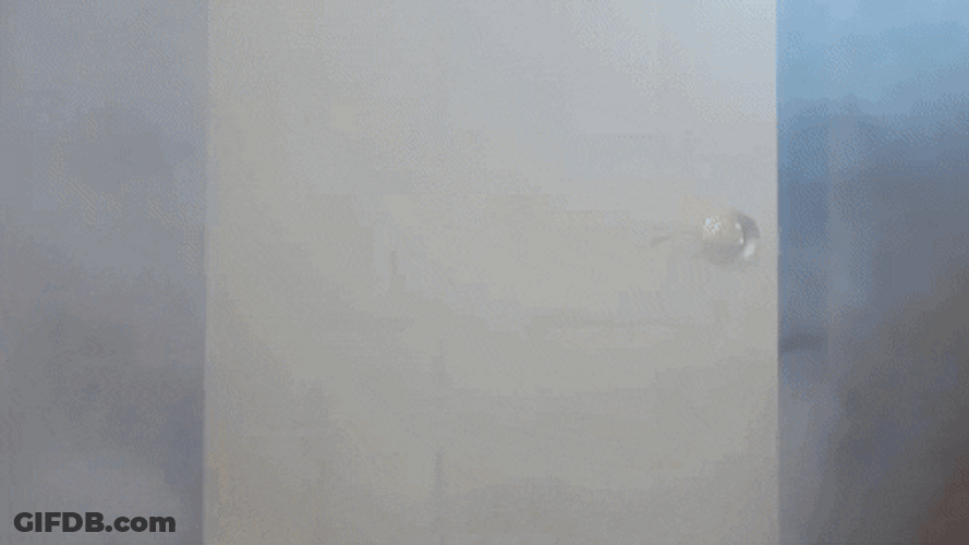 Knocking Down The Door Savannah Bananas GIF