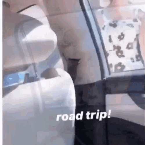 Knocking Girl Road Trip GIF