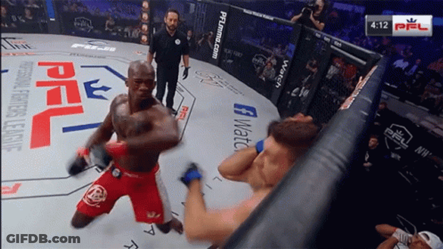 Knockout Referee Stopped Brutal Fight GIF