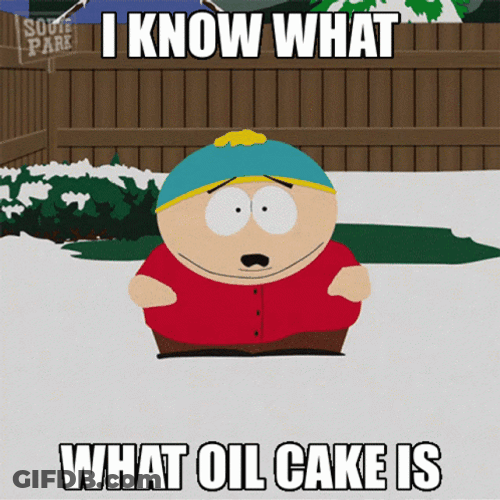 Know That What Olive Oil Cake Is GIF