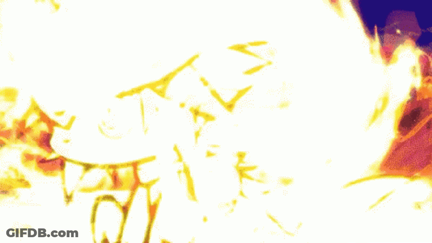 Knowing Is Half The Battle Cat GIF