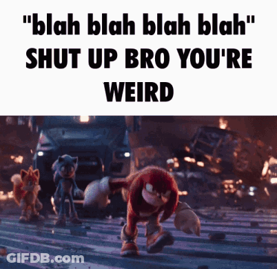 Knuckles And Sonic Saying Blah Blah Blah Blah And Shut Up Bro You're Weird GIF