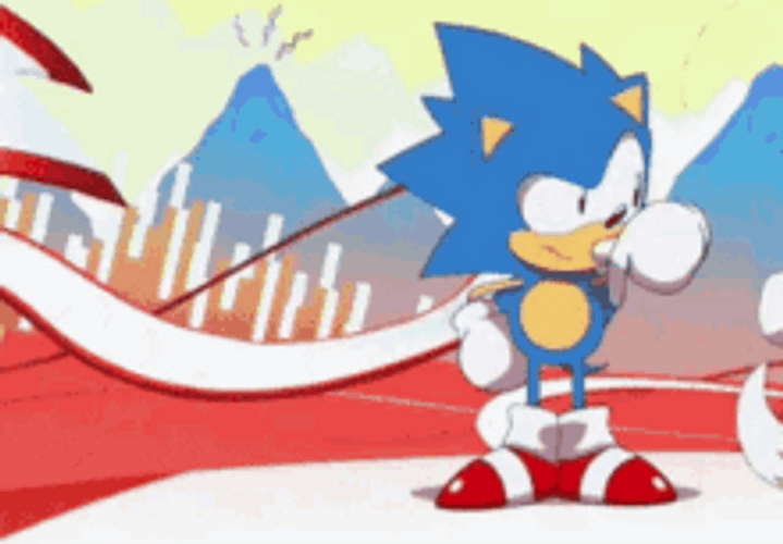 Knuckles And Sonic Teaming Up GIF