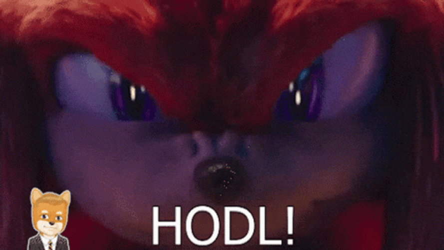 Knuckles Sonic The Hedgehog Hodl GIF