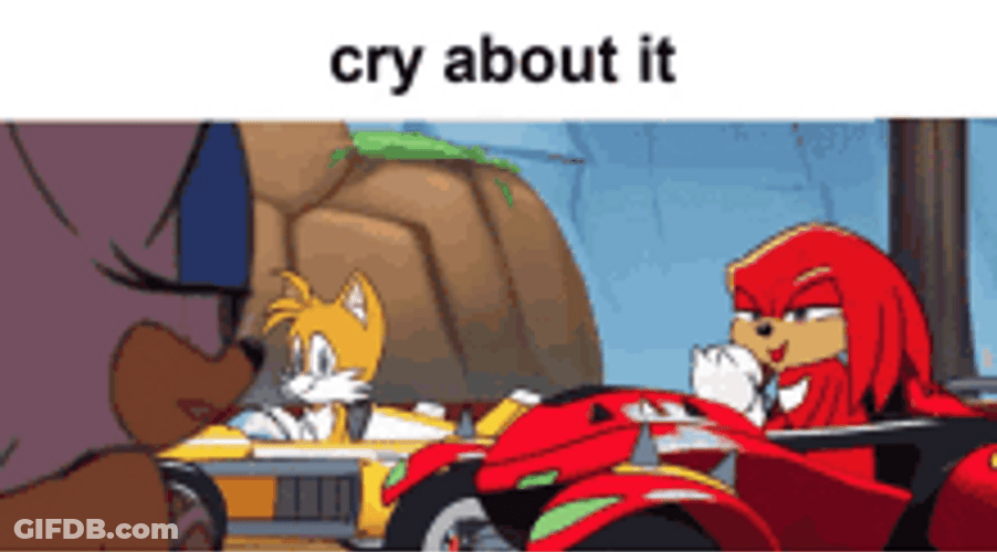 Knuckles The Echidna And Miles Prower Racing GIF