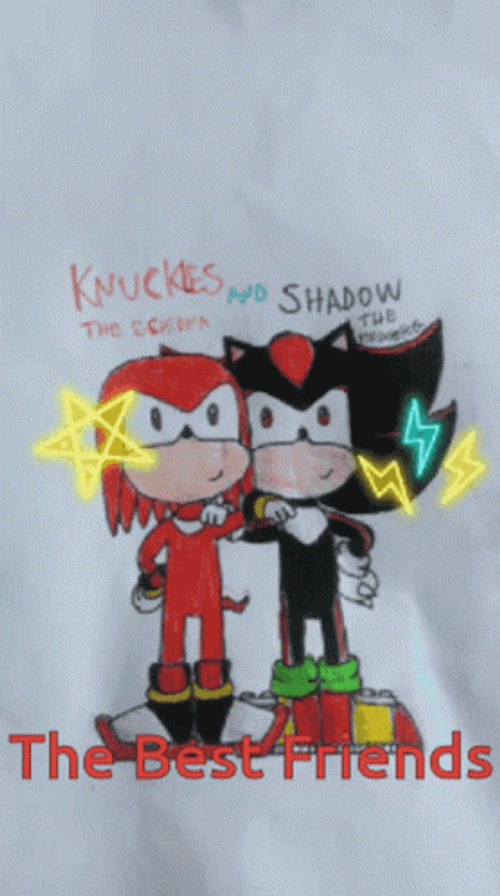 Knuckles The Echidna And Shadow Bestfriends GIF