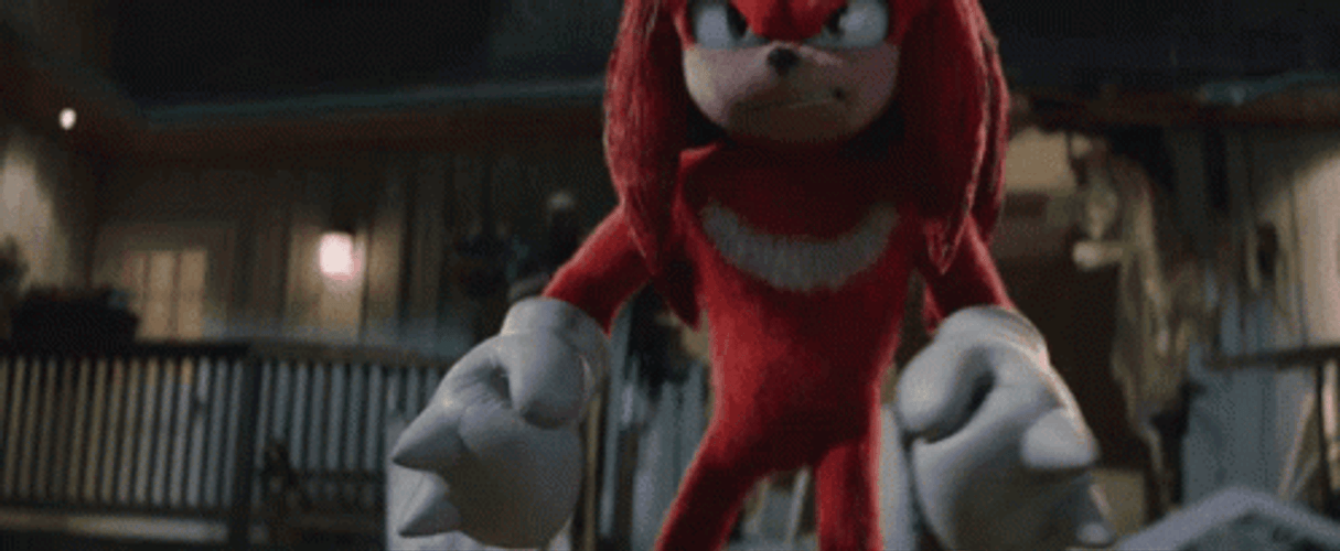 Knuckles The Echidna Clenching Fist GIF