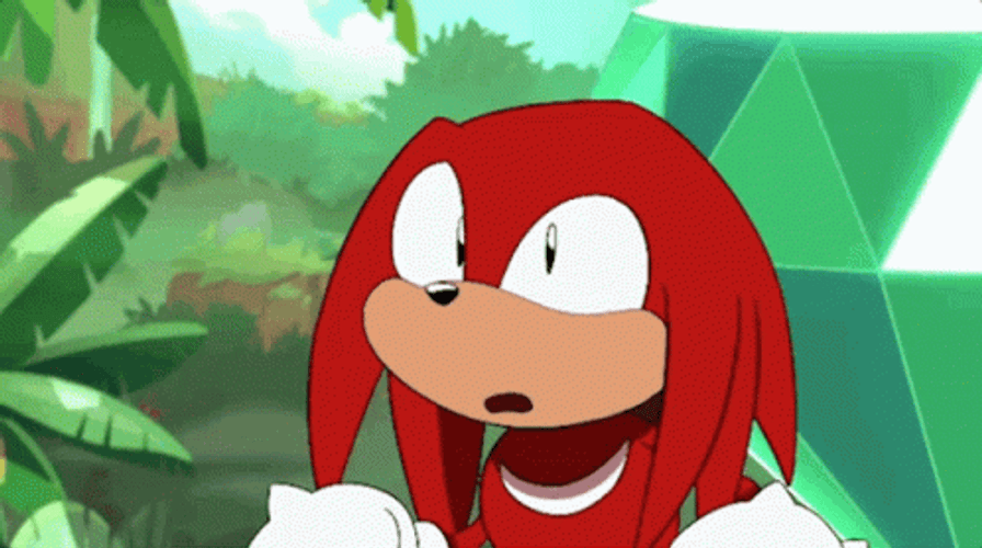 Knuckles The Echidna Confused Reaction GIF