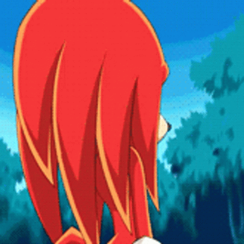 Knuckles The Echidna Grumpy Face GIF