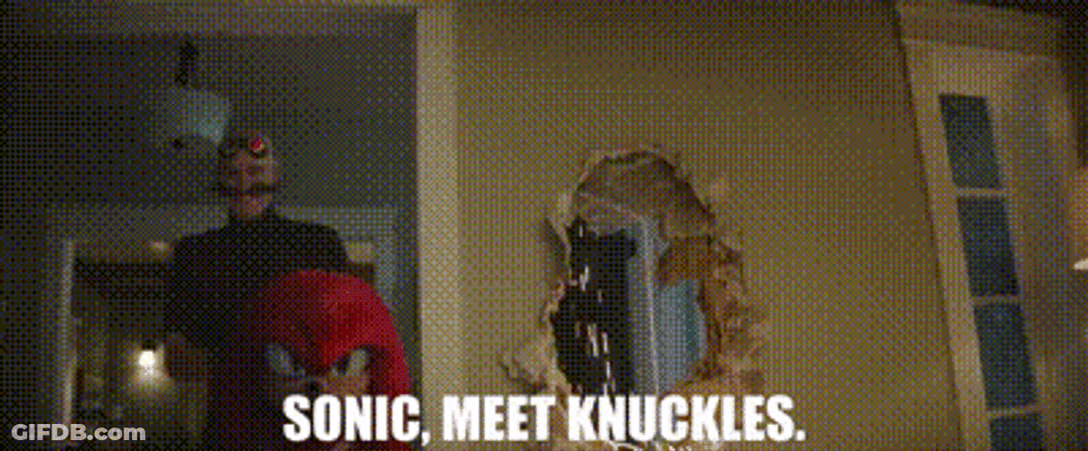 Knuckles The Echidna Introduced In The Movie Sonic GIF