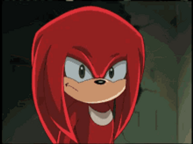 Knuckles The Echidna Power Packed Punch GIF