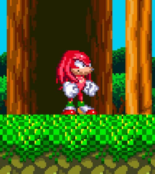Knuckles The Echidna Punching In Game GIF