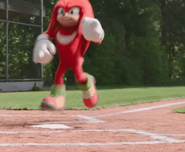Knuckles The Echidna Raising Fist GIF