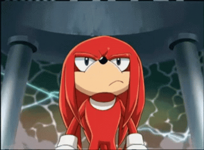 Knuckles The Echidna Raising Hands GIF