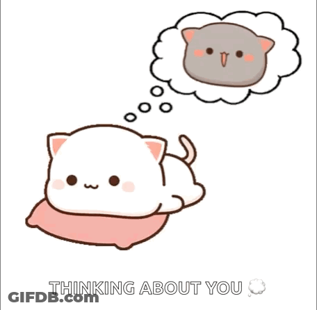 Knuckles The Echidna Reading Paper GIF