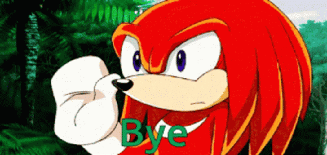 Knuckles The Echidna Saying Bye GIF