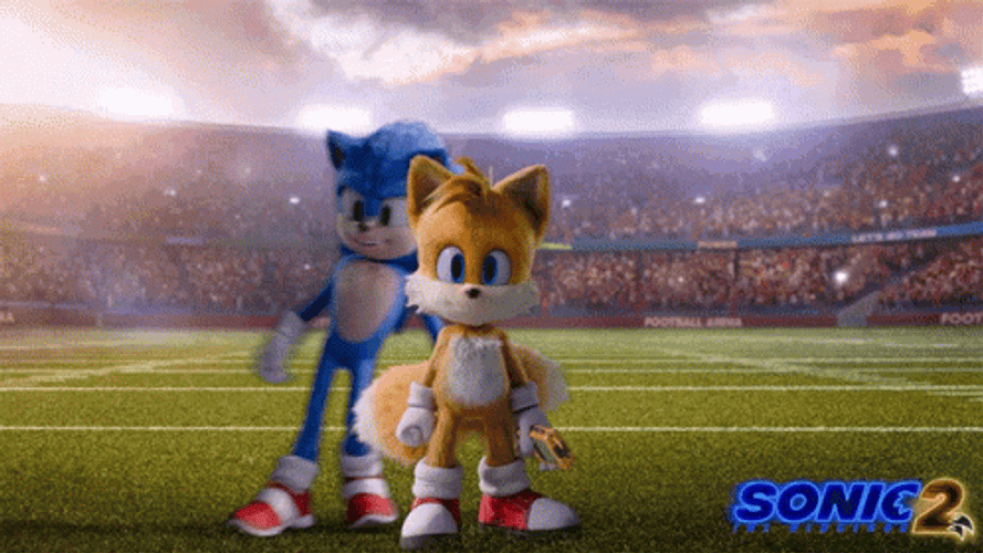 Knuckles The Echidna Slammed At Arena GIF
