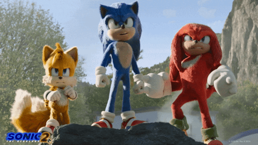 Knuckles The Echidna Stands Brave Reaction GIF