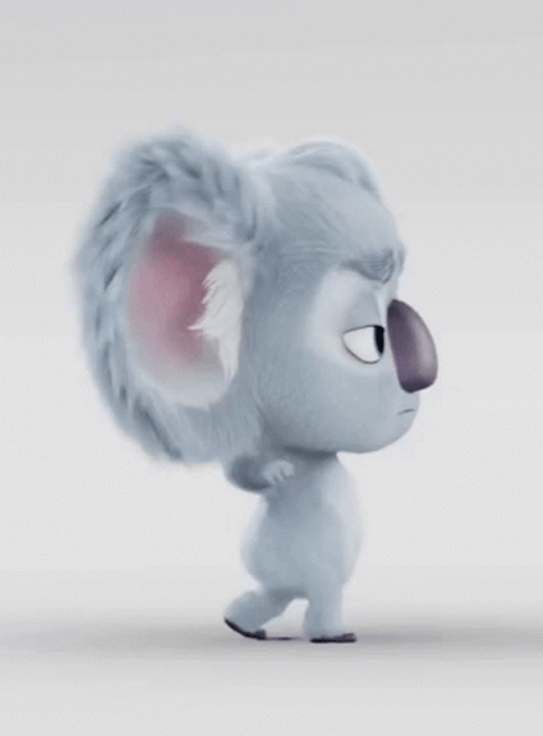 Koala Back To The Outback GIF