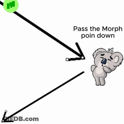 Koala Bear Saying Pass The Morph Poin Down GIF