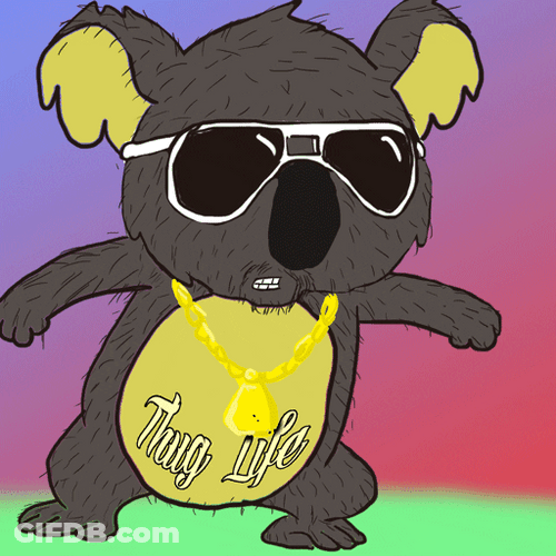 Koala Bear Thug Life GIF