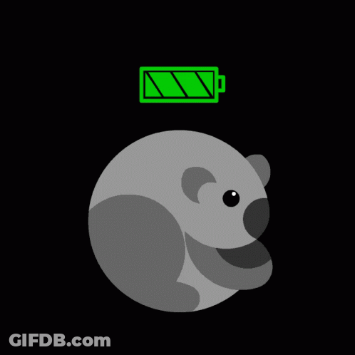 Koala Bear With Full Battery GIF