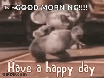 Koala Dancing On Court Saying Good Morning GIF