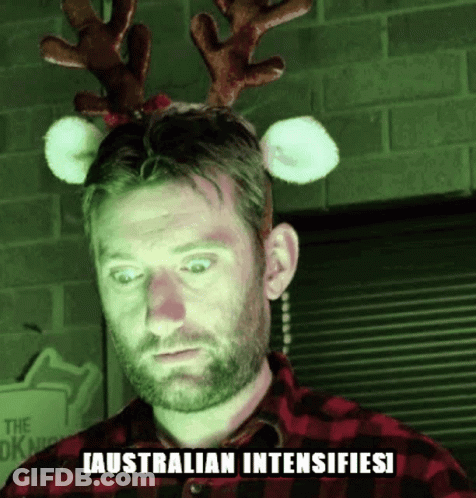 Koala Eating Leaf Enjoy Koalaty Time In Australia Mate GIF