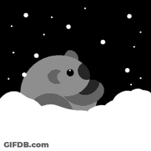Koala In Snow GIF