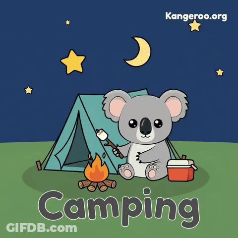 Koala Roasting Marshmallows By Tent And Campfire GIF