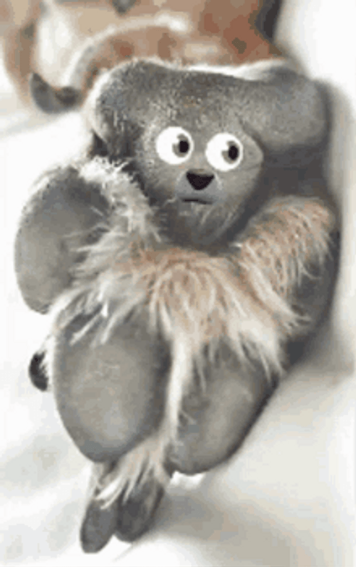 Koala Rolling Eyes GIF