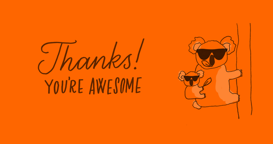 Koala Thanks You're Awesome GIF