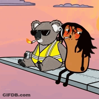 Koala Yellow Vest Smoking Cigarette Holding Beer GIF