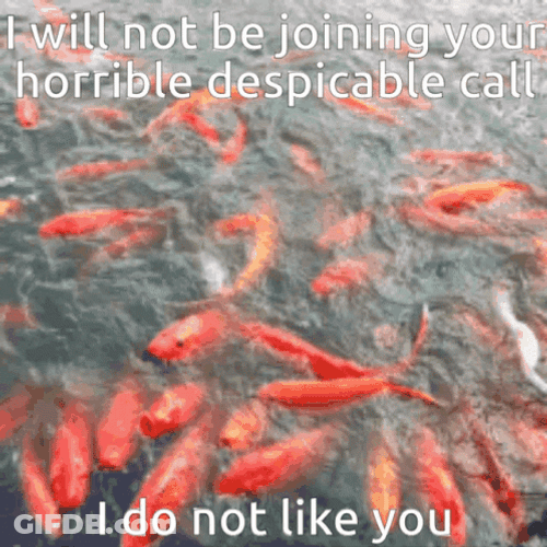 Koi Fish Horrible Despicable Call Meme GIF