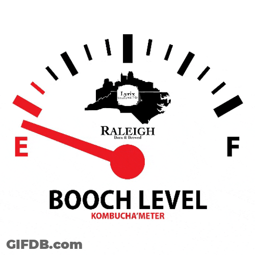 Kombucha Meter Full Level GIF