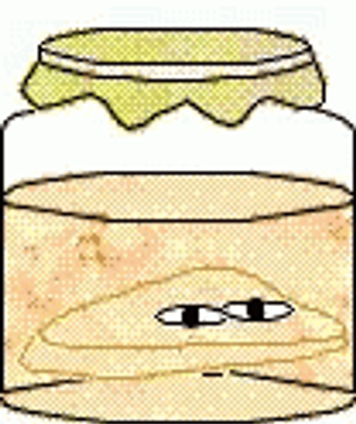 Kombucha Tea Fermented At Home GIF