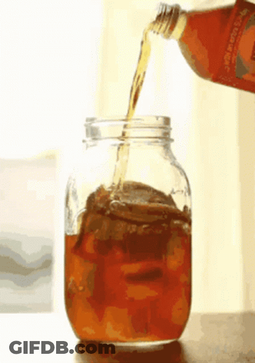 Kombucha Tea To Start Your Day GIF