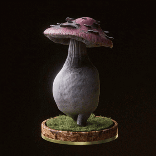 Kombucha Truly Mushroom Tea GIF