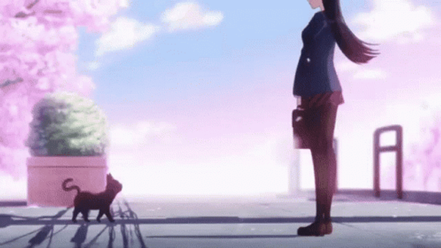 Komi San Cant Communicate With Cats GIF