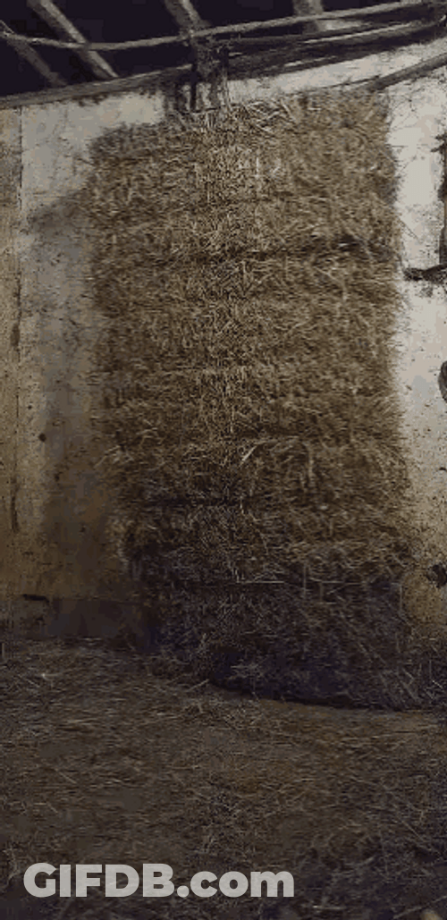 Kool Aid Man Parody Bar Farmer Hays GIF
