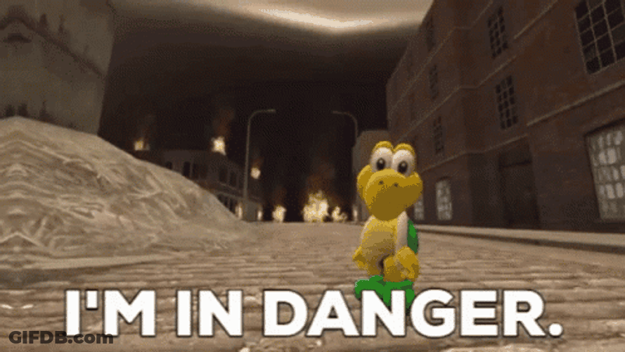 Koopa Troopa Im In Danger GIF