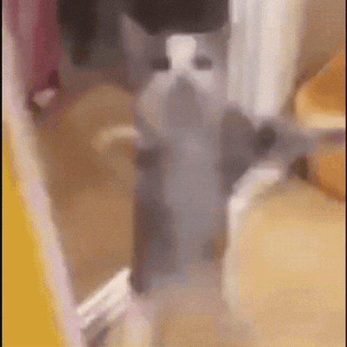 Korean Clapping Yippee Meme GIF