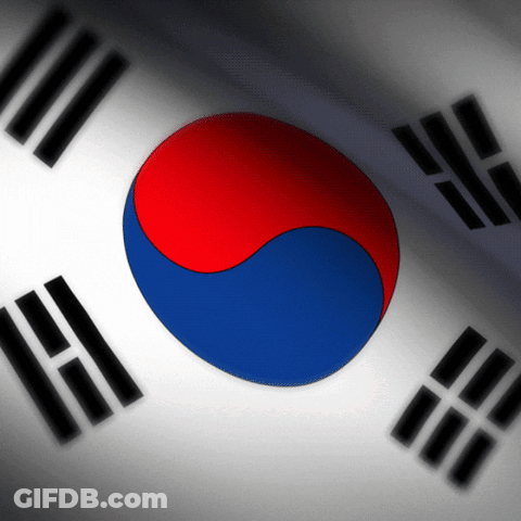 Korean Flag Red Blue White Circle GIF