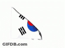 Korean Flag Waving GIF