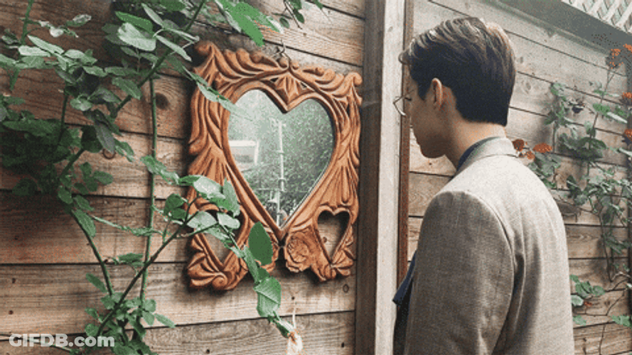 Korean Man In The Mirror GIF