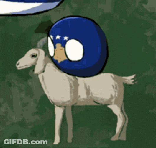 Kosovo Goat GIF