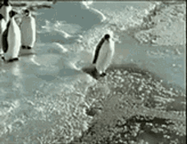Kosteusvaurio GIF